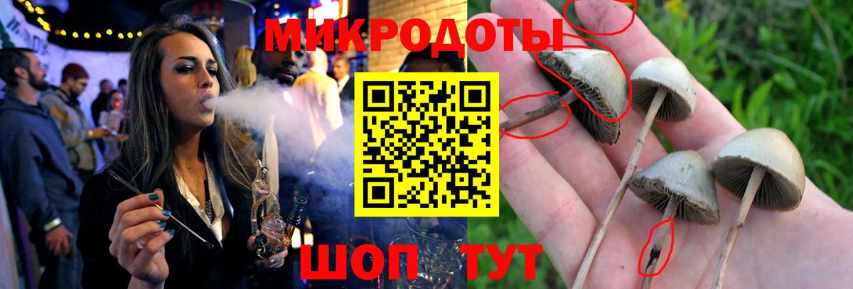 Лабинск  Галлюциногенные грибы мицелий  Вход с VPN 
